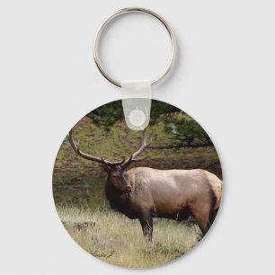 Porte-clés Elk dans le désert