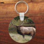 Porte-clés Elk dans le désert (Recto)