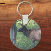 Porte-clés Elk de Cataloochee (Recto)