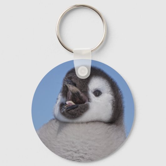 Porte-clés Empereur Pingouin (Recto)
