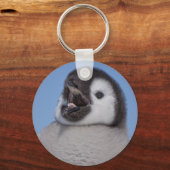 Porte-clés Empereur Pingouin (Recto)