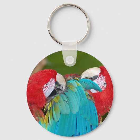 Porte-clés Empreinte de perroquet macaw rouge et bleu (Recto)