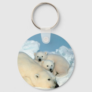 Porte-clés En voie de disparition / Ours et oursons polaires