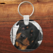 Porte-clés encadré de rottweiler (Recto)