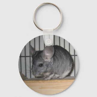 Porte-clés Enfin Accueil Chinchillas : Cheeko
