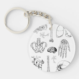 Porte-clés Ensemble d'illustrations médicales vintage d'anato