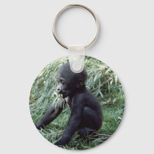 Porte-clés Ensemble faunique - Primates 8 (Recto)