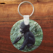 Porte-clés Ensemble faunique - Primates 8 (Recto)