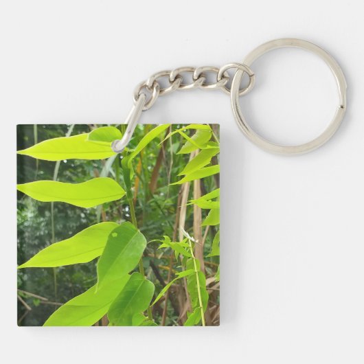 Porte-clés Environnement naturel Porte - clé acrylique (Dos)