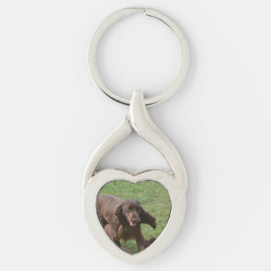 Porte-clés Épagneul de champ mignon