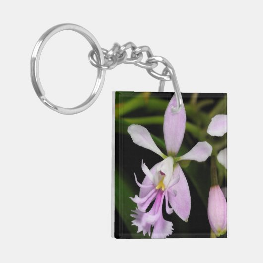 Porte-clés Epidendrum caligarium (Devant gauche)