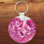 Porte-clés épithélium cilié sous le microscope. (Recto)