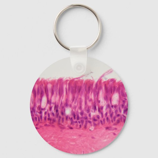 Porte-clés épithélium cilié sous le microscope. (Recto)