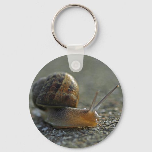 Porte-clés Escargot 1 Porte - clé (Recto)