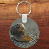 Porte-clés Escargot 1 Porte - clé (Recto)