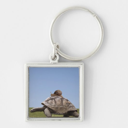 Porte-clés Escargot au-dessus d'une tortue (Devant)