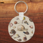 Porte-clés Escargot Limace Jardin Animal de compagnie Gastrop (Recto)