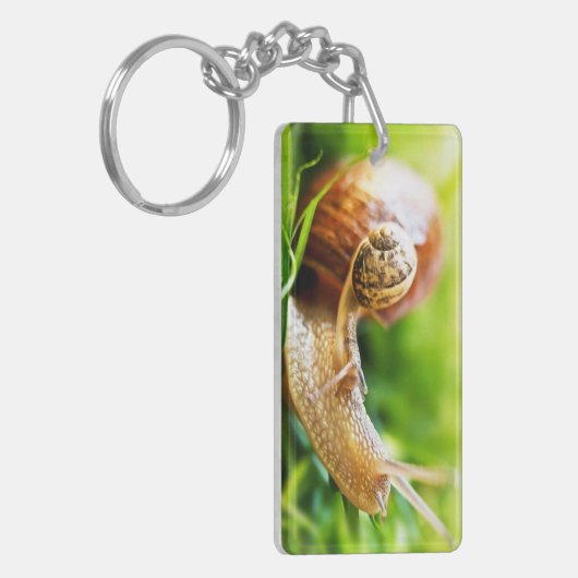 Porte-clés Escargots (Devant gauche)