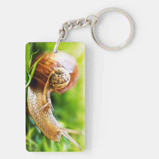 Porte-clés Escargots (Dos)