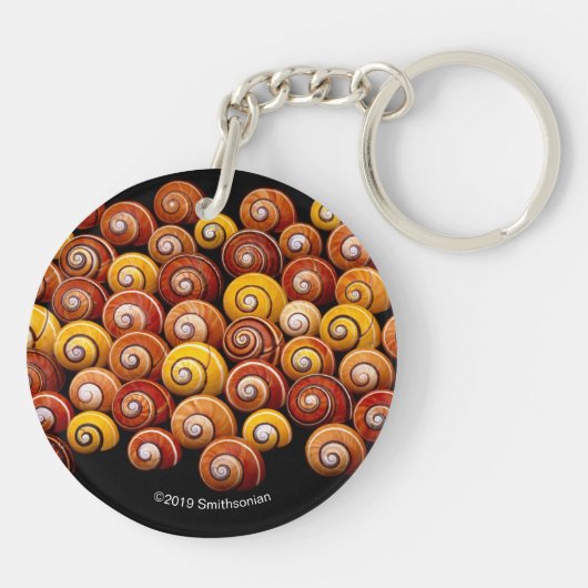 Porte-clés Escargots d'arbre cubain (Dos)