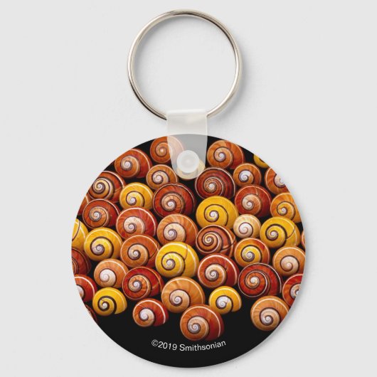 Porte-clés Escargots d'arbre cubain (Recto)