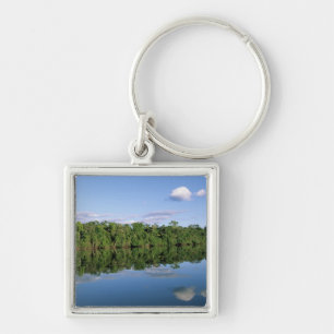 Porte-clés État du Mato Grosso, Amazonie, Brésil. Forêt