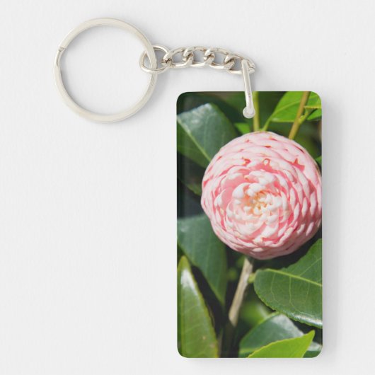 Porte-clés États-Unis, Alabama, Théodore près de Mobile (Devant)