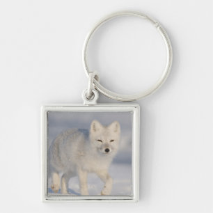 Porte-clés États-Unis, Alaska, 1002 Plaine côtière de l'ANWR.