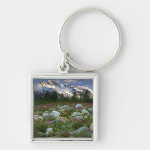 Porte-clés États-Unis, Alaska, Alsek-Tatshenshini Wilderness.