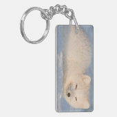 Porte-clés États-Unis, Alaska, Fox (Devant gauche)