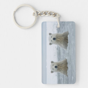 Porte-clés États-Unis, Alaska, North Slope, ours polaires