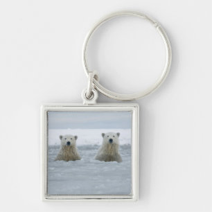 Porte-clés États-Unis, Alaska, North Slope, ours polaires