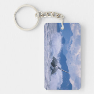Porte-clés États-Unis, Alaska, Tongass National Forest, Bossu