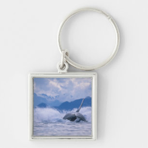 Porte-clés États-Unis, Alaska, Tongass National Forest, Bossu