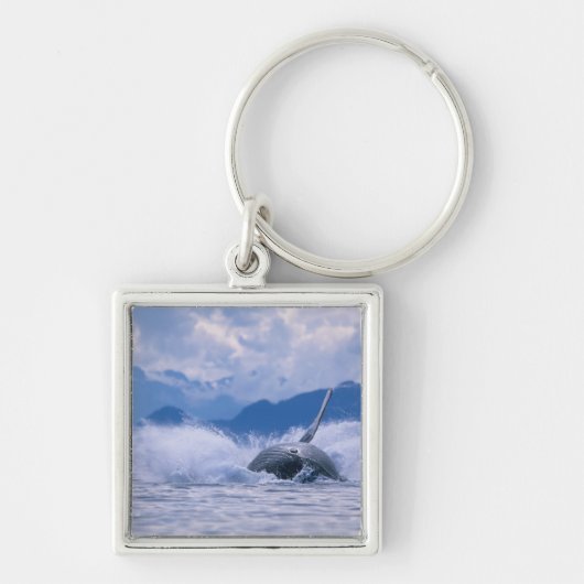 Porte-clés États-Unis, Alaska, Tongass National Forest, Humpb (Devant)