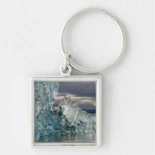 Porte-clés États-Unis, Alaska, Tongass National Forest, Tracy