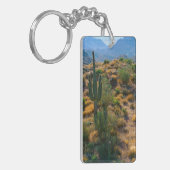 Porte-clés États-Unis, Arizona. Desert View (Devant gauche)