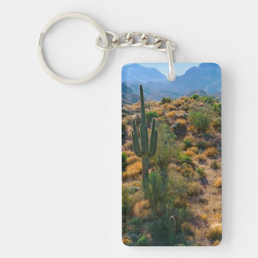 Porte-clés États-Unis, Arizona. Desert View (Devant)