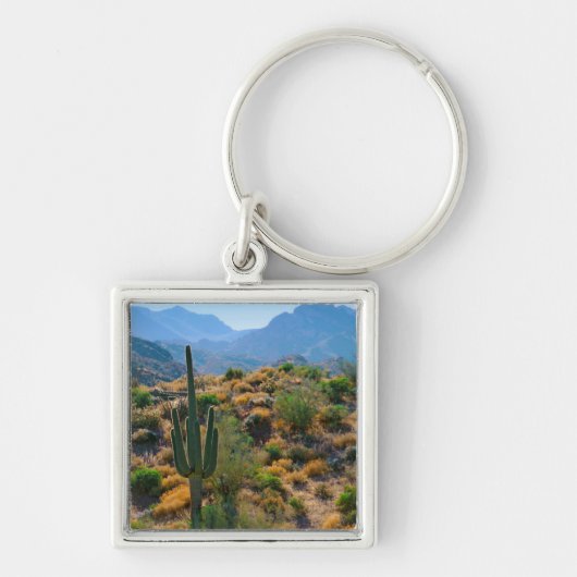 Porte-clés États-Unis, Arizona. Desert View (Devant)