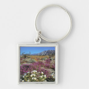 Porte-clés États-Unis, Californie, Anza-Borrego DSP. Soirée d
