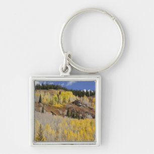 Porte-clés États-Unis, Colorado, Forêt nationale de Gunnison,