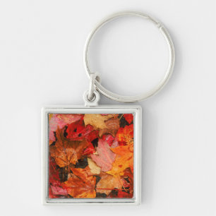 Porte-clés États-Unis, Maine. Feuilles d'érable d'automne