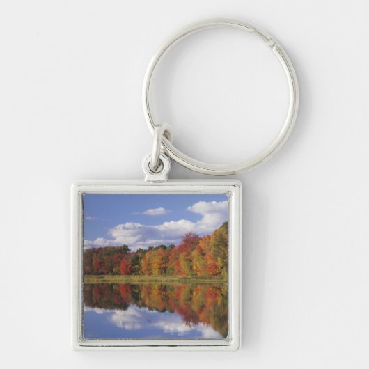 Porte-clés États-Unis, Massachusetts, Acton. Reflet de l'auto (Devant)