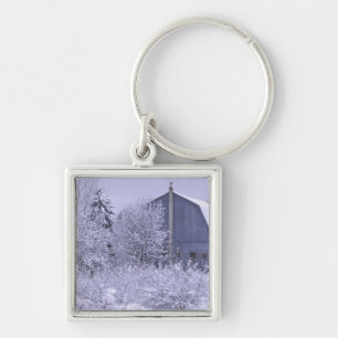Porte-clés États-Unis, Michigan, Rochester Hills. Bleu enneig