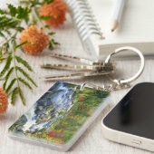 Porte-clés États-Unis, New York. Une cascade dans l'Adirondac (Devant droit)