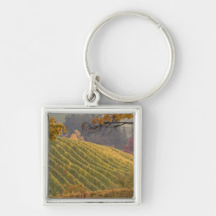 Porte-clés États-Unis, Oregon, Newberg. Vignoble en automne.