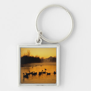 Porte-clés États-Unis, Oregon, Portland. Oiseaux d'eau en Col