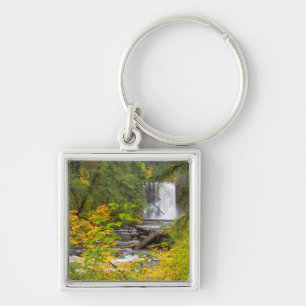 Porte-clés États-Unis, Oregon, Silver Falls State Park 2