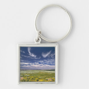 Porte-clés États-Unis, Oregon, Steens Mountain. Le printemps