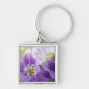 Porte-clés États-Unis, Oregon, vallée de Willamette, Larkspur